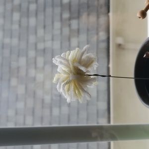 Meet your Posher, Yewon